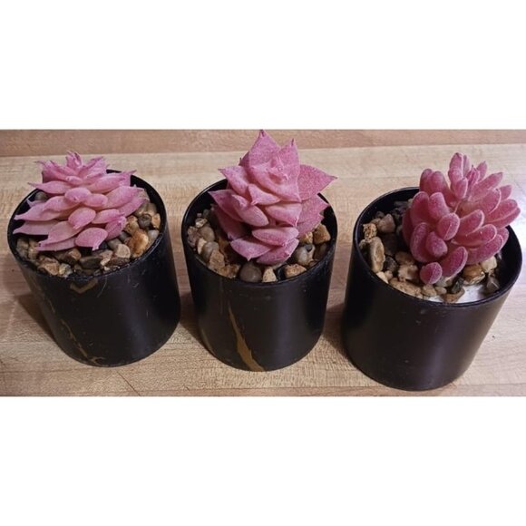 New Set of 6 Small Fake Plants Succulents for Home Office Desk Accessories - Picture 3 of 3